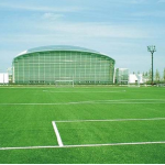 Kinh doanh sân bóng cỏ nhân tạo và những điều cần nhớ