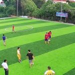 Những điều cần biết về cỏ nhân tạo sân bóng (phần 2)