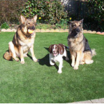 Hướng dẫn vài kỹ thuật đá bóng trên sân bóng cỏ nhân tạo