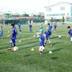 Tự chăm sóc cỏ nhân tạo và những lưu ý đơn giản nhưng hiệu qủa