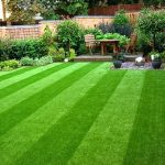 Làm vệ sinh cỏ nhân tạo theo từng loại vết bẩn