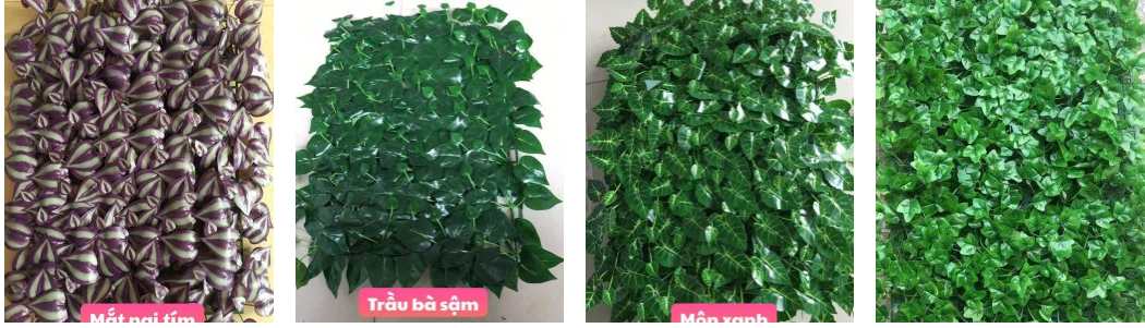 Cỏ nhân tạo dán tường có rất nhiều để bạn lựa chọn