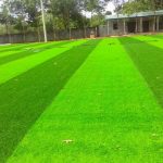 Cỏ nhân tạo trang trí được sử dụng vào những nơi nào?