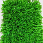 Nên chọn loại cỏ nhân tạo nào trang trí tường nhà?