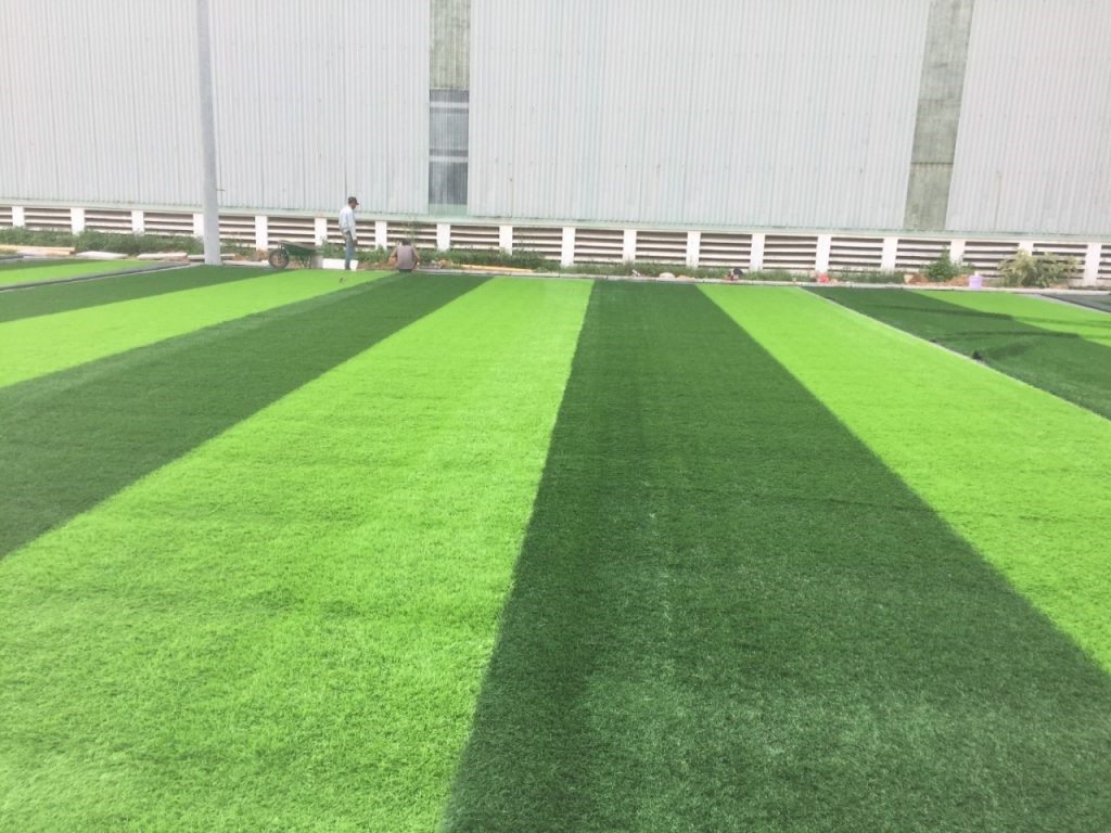 Nền sân bóng có thể sẽ được làm bằng xi măng