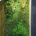 Những lý do bạn nên sở hữu 1 bức tường cây giả cỏ nhân tạo cho không gian