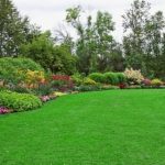 3 Bí quyết giúp sân vườn cỏ nhân tạo siêu sạch