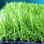 Mẹo chăm sóc cỏ nhân tạo có thể bạn chưa biết