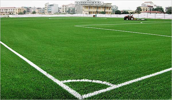 Cỏ nhân tạo cần được chăm sóc thường xuyên