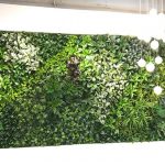 Vì sao nên chọn mua cỏ nhựa nhân tạo dán tường của chúng tôi?