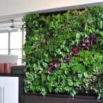 Những lí do khiến nhiều người sử dụng cỏ lá nhựa nhân tạo
