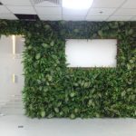 Không gian xanh với cỏ nhân tạo đơn giản