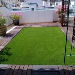 Cỏ nhân tạo sân vườn trang trí trong nhà vô cùng độc đáo