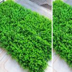 Cỏ nhựa nhân tạo được sử dụng trong không gian nào?