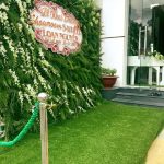 Một số loại thảm cỏ nhựa trang trí tường hiện nay
