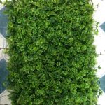 Một số loại thảm cỏ nhựa trang trí tường hiện nay