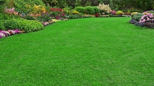 Khi làm một sân cỏ nhân tạo thời gian thi công chỉ mất 1 hoặc 2 ngày